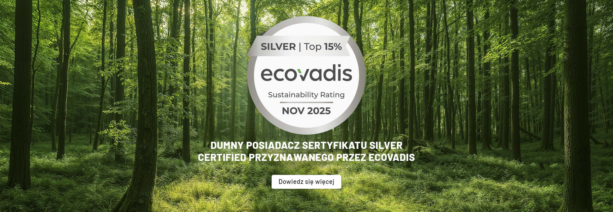 Ecovadis_Silver